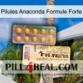 Anaconda Strong Formula Pills new06